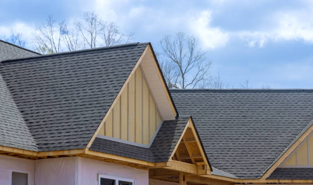 Best Asphalt Shingle Roofing  in Lakeville, MN