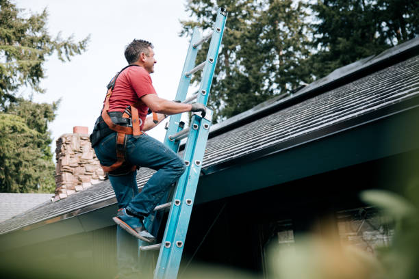 Best Roof Ventilation Installation  in Lakeville, MN